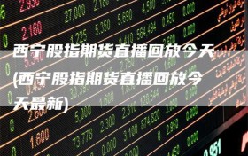 西宁股指期货直播回放今天(西宁股指期货直播回放今天最新)