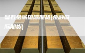 磐石金融国际期货(金融国际期货)