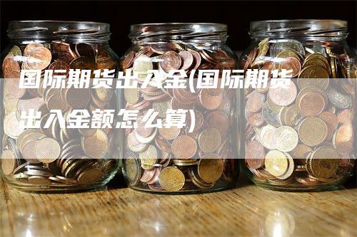 国际期货出入金(国际期货出入金额怎么算)